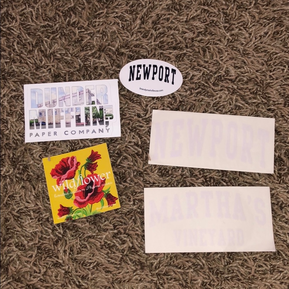BRANDY MELVILLE WILDFLOWER THE OFFICE STICKERS